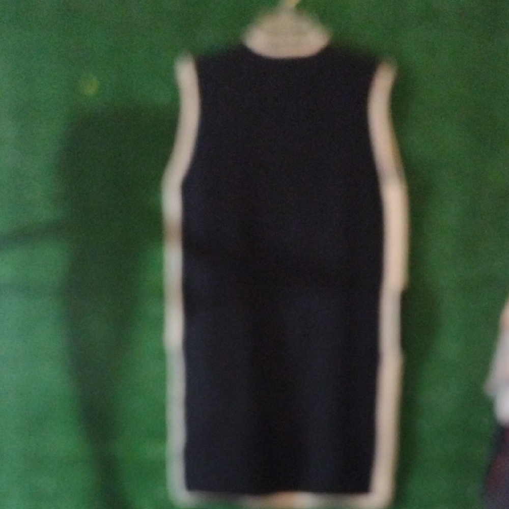 Gilli Black and Cream Mini Dress - Picture 6 of 6